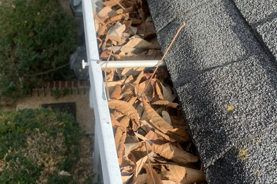 Gutter Cleaning Odessa