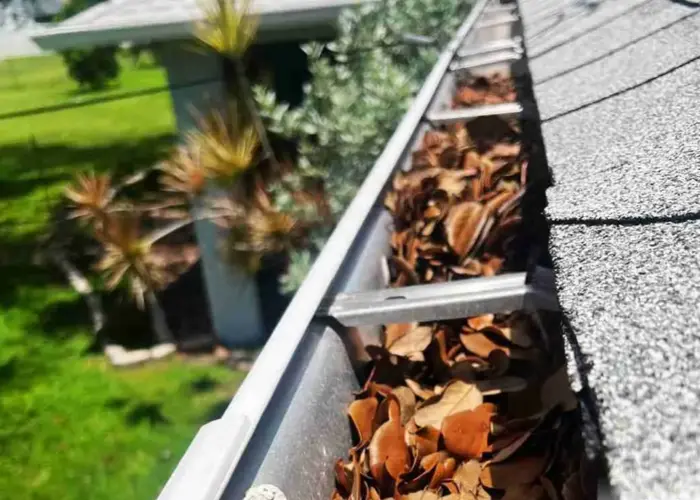 Gutter Cleaning Odessa home page